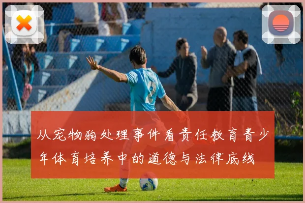 从宠物狗处理事件看责任教育青少年体育培养中的道德与法律底线