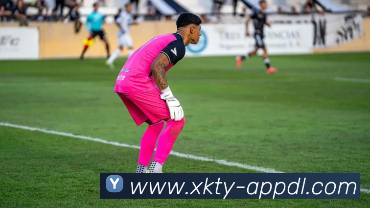 辅助工具 辅助工具